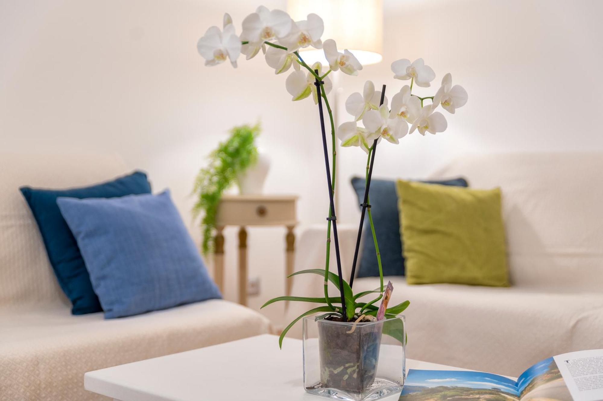 Casa Comoda A Due Passi Dal Lungomare Alghero Ngoại thất bức ảnh